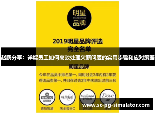 赵鹏分享：详解员工如何高效处理欠薪问题的实用步骤和应对策略