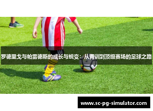 罗德里戈与帕雷德斯的成长与蜕变：从青训到顶级赛场的足球之路